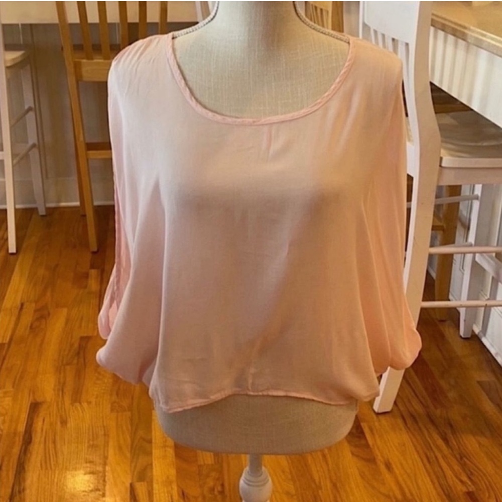 Final Touch pale pink sheer blouse
